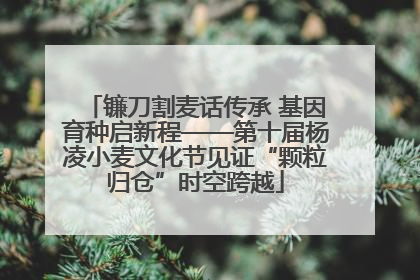 镰刀割麦话传承 基因育种启新程——第十届杨凌小麦文化节见证“颗粒归仓”时空跨越