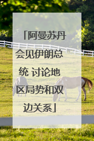 阿曼苏丹会见伊朗总统 讨论地区局势和双边关系