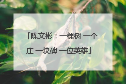陈文彬：一棵树 一个庄 一块碑 一位英雄