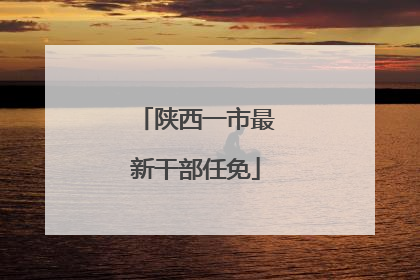 陕西一市最新干部任免