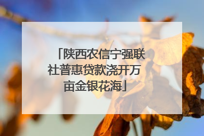 陕西农信宁强联社普惠贷款浇开万亩金银花海