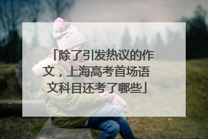 除了引发热议的作文，上海高考首场语文科目还考了哪些