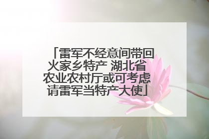 雷军不经意间带回火家乡特产 湖北省农业农村厅或可考虑请雷军当特产大使