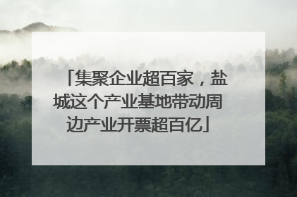 集聚企业超百家，盐城这个产业基地带动周边产业开票超百亿