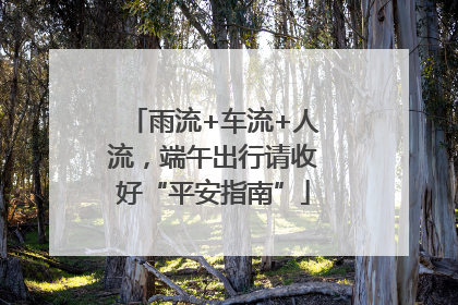 雨流+车流+人流，端午出行请收好“平安指南”