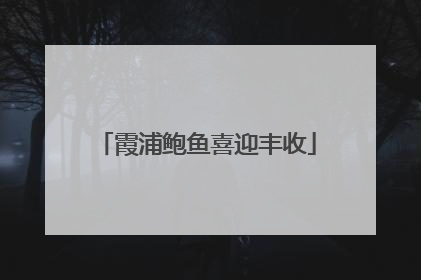 霞浦鲍鱼喜迎丰收