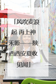 风吹麦浪起 再上神禾塬——陕西西安夏收见闻
