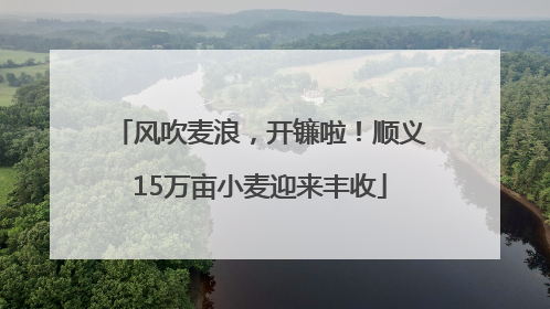 风吹麦浪，开镰啦！顺义15万亩小麦迎来丰收