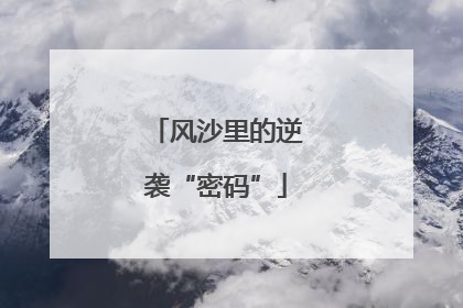 风沙里的逆袭“密码”