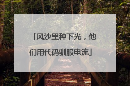 风沙里种下光，他们用代码驯服电流