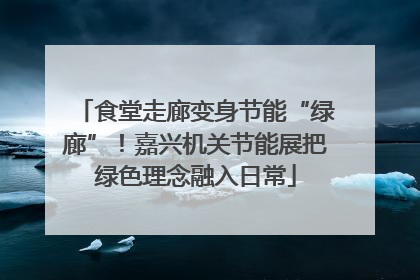 食堂走廊变身节能“绿廊”！嘉兴机关节能展把绿色理念融入日常