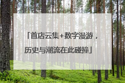 首店云集+数字漫游，历史与潮流在此碰撞