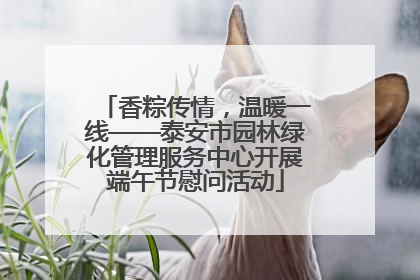 香粽传情，温暖一线——泰安市园林绿化管理服务中心开展端午节慰问活动