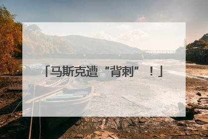 马斯克遭“背刺”！