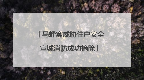 马蜂窝威胁住户安全 宣城消防成功摘除