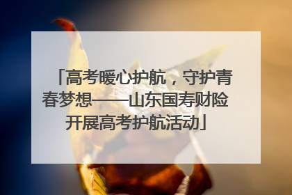 高考暖心护航，守护青春梦想——山东国寿财险开展高考护航活动