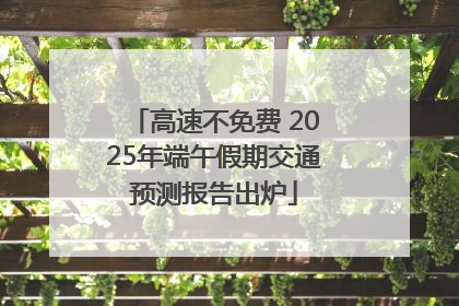 高速不免费 2025年端午假期交通预测报告出炉
