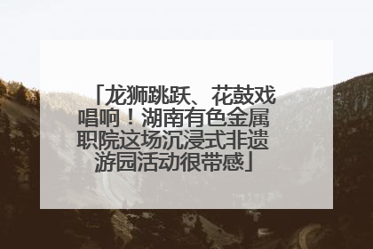 龙狮跳跃、花鼓戏唱响！湖南有色金属职院这场沉浸式非遗游园活动很带感