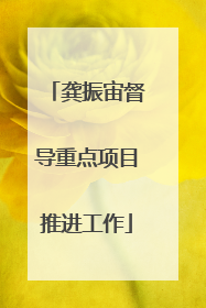 龚振宙督导重点项目推进工作