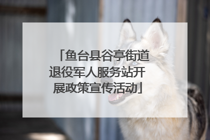 鱼台县谷亭街道退役军人服务站开展政策宣传活动