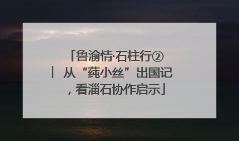 鲁渝情·石柱行② ︳从“莼小丝”出国记，看淄石协作启示