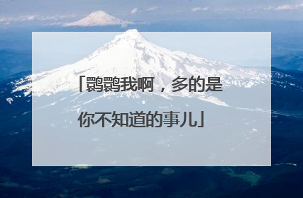 鹮鹮我啊，多的是你不知道的事儿