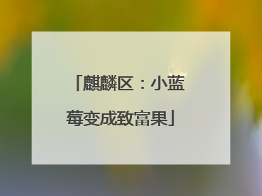 麒麟区：小蓝莓变成致富果