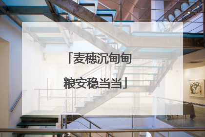 麦穗沉甸甸 粮安稳当当