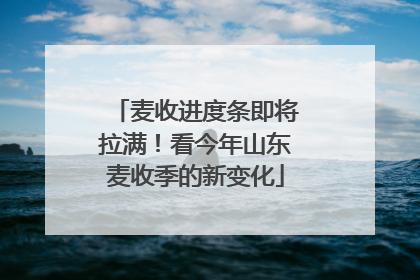 麦收进度条即将拉满！看今年山东麦收季的新变化