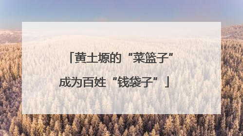 黄土塬的“菜篮子”成为百姓“钱袋子”
