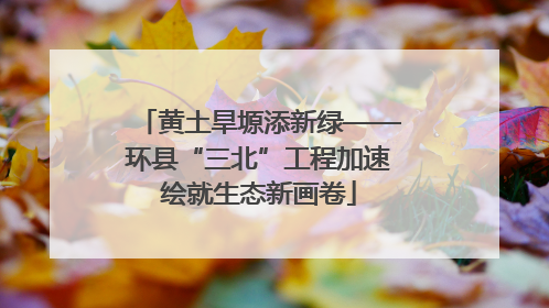 黄土旱塬添新绿——环县“三北”工程加速绘就生态新画卷