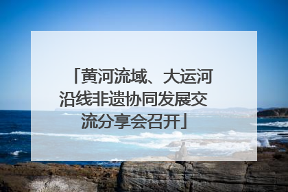 黄河流域、大运河沿线非遗协同发展交流分享会召开