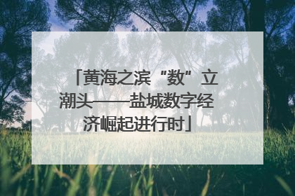 黄海之滨“数”立潮头——盐城数字经济崛起进行时