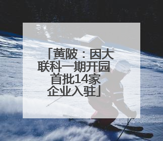 黄陂：因大联科一期开园 首批14家企业入驻