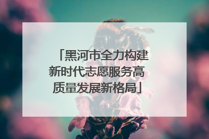 黑河市全力构建新时代志愿服务高质量发展新格局