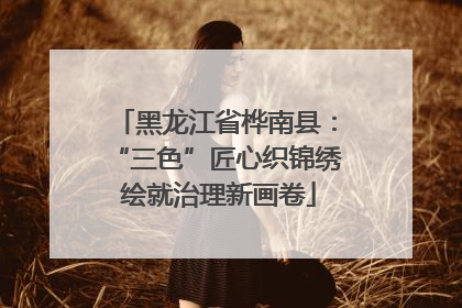 黑龙江省桦南县：“三色”匠心织锦绣 绘就治理新画卷