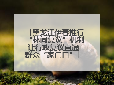 黑龙江伊春推行“林间复议”机制 让行政复议直通群众“家门口”