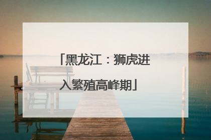 黑龙江：狮虎进入繁殖高峰期