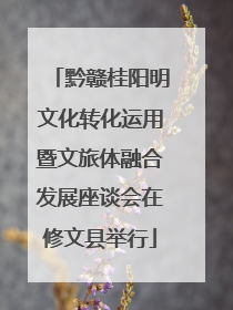 黔赣桂阳明文化转化运用暨文旅体融合发展座谈会在修文县举行