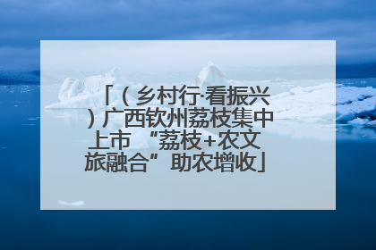 （乡村行·看振兴）广西钦州荔枝集中上市 “荔枝+农文旅融合”助农增收