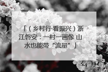 （乡村行·看振兴）浙江磐安：一村一画像 山水也能带“流量”