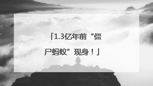 1.3亿年前“僵尸蚂蚁”现身！