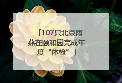 107只北京雨燕在颐和园完成年度“体检”