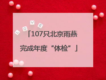 107只北京雨燕完成年度“体检”