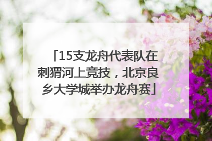 15支龙舟代表队在刺猬河上竞技，北京良乡大学城举办龙舟赛