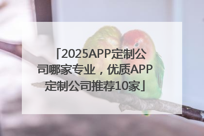2025APP定制公司哪家专业，优质APP定制公司推荐10家