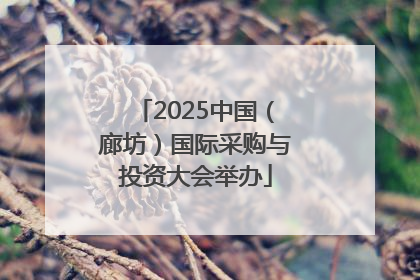 2025中国（廊坊）国际采购与投资大会举办
