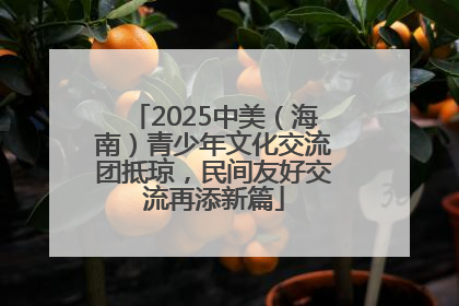 2025中美（海南）青少年文化交流团抵琼，民间友好交流再添新篇