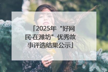 2025年“好网民·在潍坊”优秀故事评选结果公示