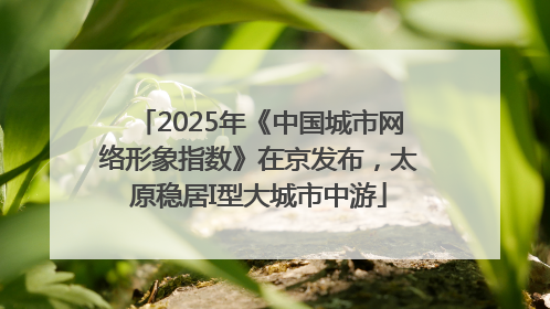 2025年《中国城市网络形象指数》在京发布，太原稳居I型大城市中游